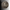 Brass Tsuba For Katana Wakizashi Tanto Samurai Sword | KatanaSwordArt Tsuba For Sale 2026