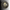 Brass Tsuba For Katana Wakizashi Tanto Samurai Sword | KatanaSwordArt Tsuba For Sale 2026