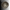 Brass Tsuba For Katana Wakizashi Tanto Samurai Sword | KatanaSwordArt Tsuba For Sale 2026