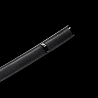 Kanshitsu Black Ishime Lacquered Saya 乾漆黒石目塗 | TangGu Sword United States 2026