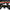 Katana Amber Sakura Kobuse Blade Kōhaku Zakura Koshirae 琥櫻 | TangGu Sword United States 2026