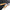 Katana Aoi Tempest Maru Blade Kin-aoi Koshirae 金葵 | TangGu Sword United States 2026