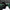 Katana Emerald Dragon Maru Blade Suiryū Koshirae 翠龍 | TangGu Sword United States 2026