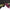 Katana Golden Torrent Kobuse Blade Kogane Shizuku Koshirae 金流 | TangGu Sword United States 2026