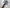 Rain Dragon Aikuchi Koshirae Reconstruction | TangGu Sword United States 2026
