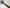 Rain Dragon Aikuchi Koshirae Reconstruction | TangGu Sword United States 2026